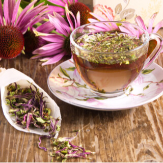 2. عشبة القنفذية (Echinacea)