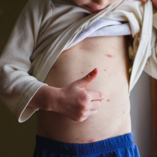 8. النصائح والتوصيات 8. النصائح والتوصيات