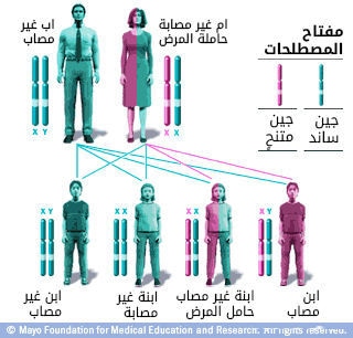 نمط وراثي متعلق بكروموسوم (X) مع أم حاملة له
