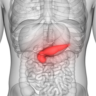 5. البنكرياس
