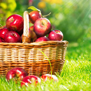 بالصور فوائد التفاح لجسمك عظيمة ويب طب