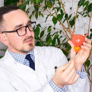 7. الإحليل (Urethra)