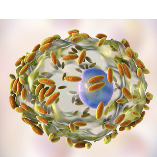 1. التغييرات في المخاط (Changes in mucus)