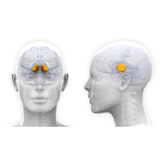 5. العقد القاعدية