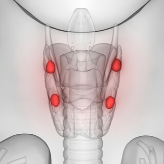 الغدد جار الدرقية 