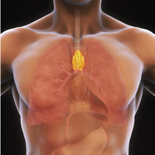 الغدة الزعترية 