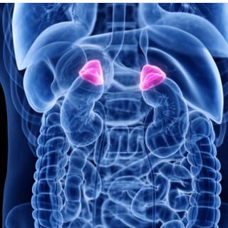 الغدة الكظرية