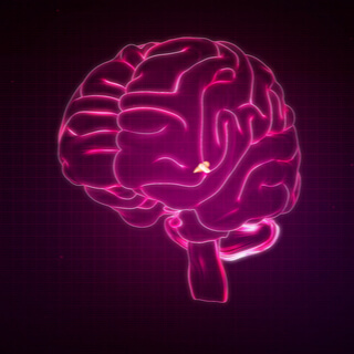 الغدة الصنوبرية