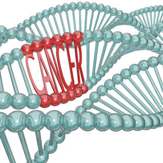 التاريخ العائلي