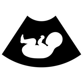 3. الثلث الثالث من الحمل (Third Trimester) 3. الثلث الثالث من الحمل (Third Trimester)