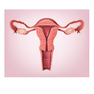 3. الرحم المقوس