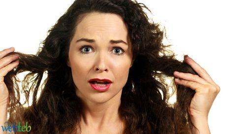 علاج الشعر الدهني منزليًا: أهم المعلومات