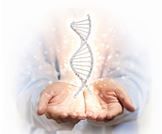 أهم الفحوصات الوراثية لتجنب التشوهات الخلقية!