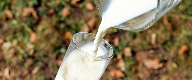 خرافات عن الحليب: تعرف عليها الآن