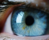 أمراض العيون الخطيرة