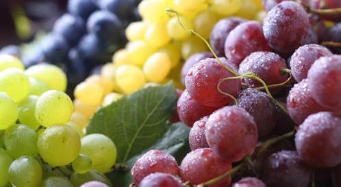 فوائد العنب للصحة - ويب طب