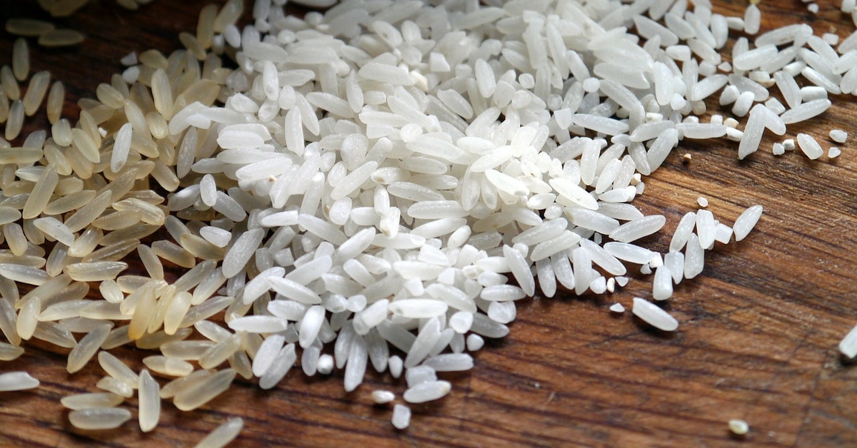 فوائد الأرز مصدر للبروتينات والألياف وأكثر ويب طب