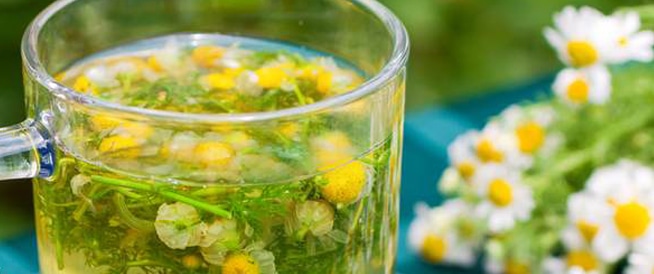 فوائد البابونج لصحتك وجمالك مذهلة