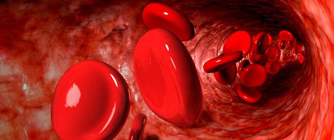 تسمى الأوعية الدموية التي تعيد الدم إلى القلب وتحتوي على صمامات تضمن تحرك الدم في اتجاه القلب بالأوردة
