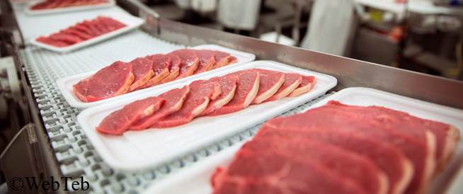 شرائح اللحم البقري: دليل إرشادي لاختيار أقل اللحوم دهونًا