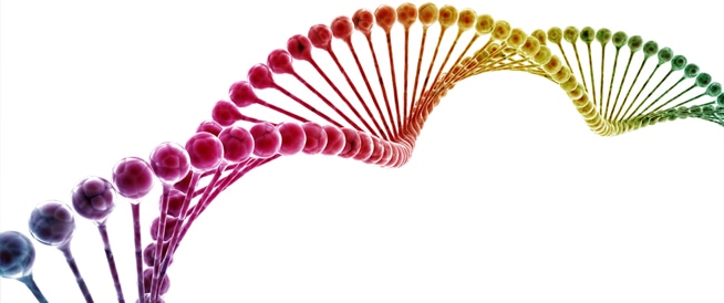 المادة الوراثية DNA ومعلومات هامة حولها