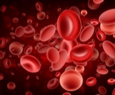 دليلك العام لأمراض الدم 