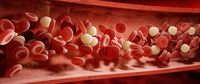 معلومات هامة عن الدم في الجسم