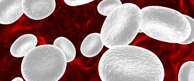 11 طريقة  لزيادة عدد خلايا الدم البيضاء