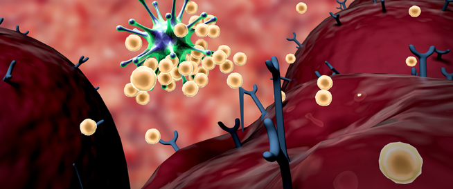كيف يعمل جهاز المناعة في الجسم؟
