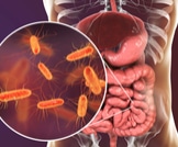 ما هي البكتيريا الجيدة وأهميتها في الجسم؟