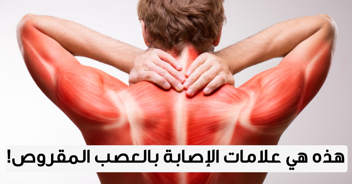 Ломит мышцы тела. Воспаление мышц миозит.