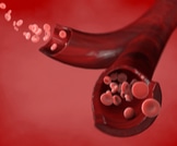 أسباب ارتفاع عدد خلايا الدم الحمراء