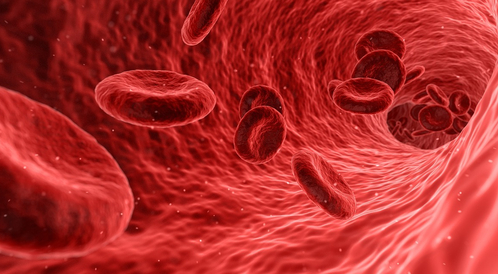 Symptomer på overskydende blod i kroppen og deres årsager - WebTeb