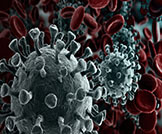 ما هو الفرق بين الفيروس والبكتيريا؟