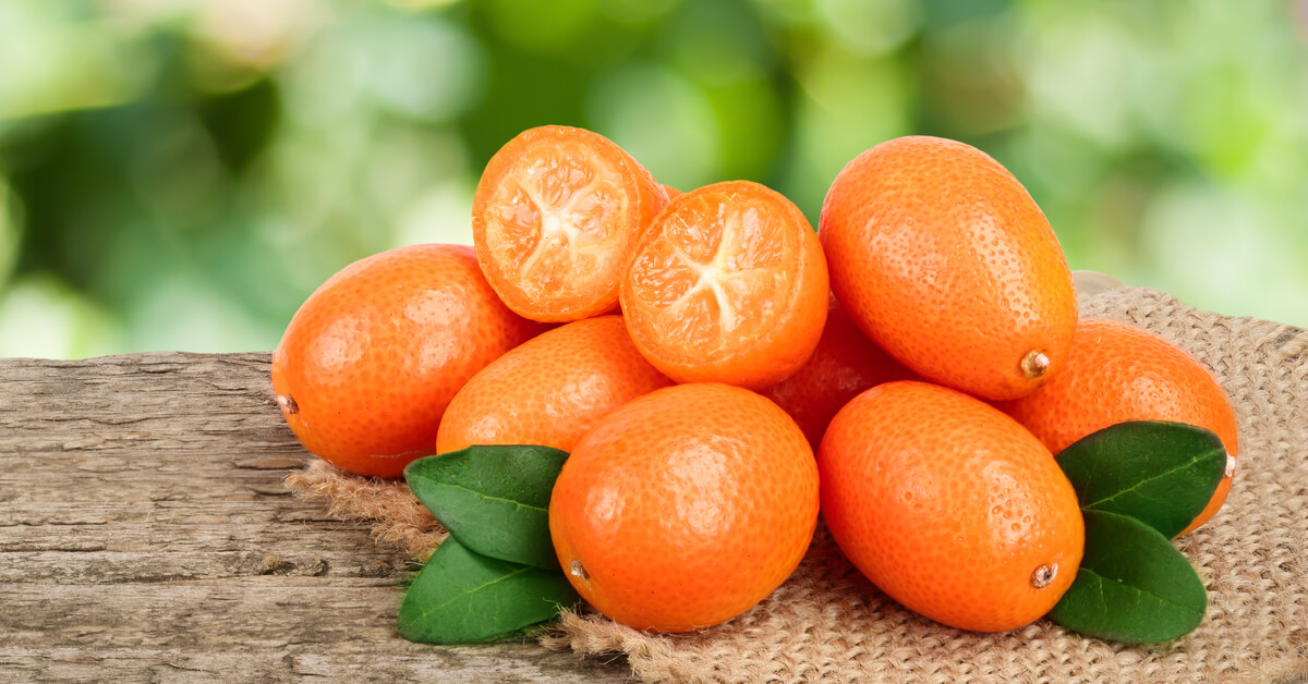 فوائد الكمكوات البرتقال الياباني تعرف عليها ويب طب