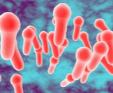 التسمم السجقي (Botulism): حالة خطيرة ونادرة