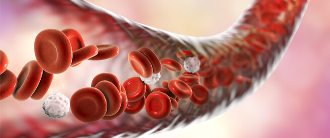ارتفاع الصفائح الدموية: إليك الأعراض والأسباب وطرق العلاج