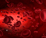 ماذا يعني ارتفاع صفائح الدم؟