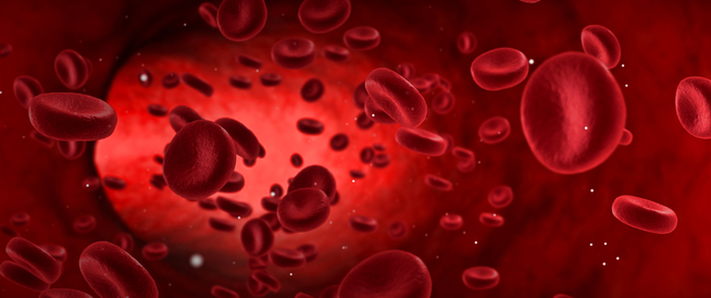 ماذا يعني ارتفاع صفائح الدم ويب طب