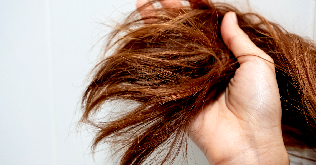 أسباب جفاف الشعر وطرق العلاج ويب طب