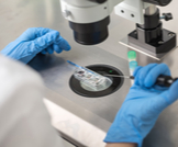 عملية التلقيح الصناعي: دليلك الشامل