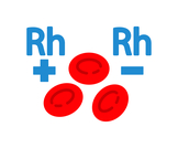 الشخص الذي تحمل خلايا العامل الريزيسي يكون سالب العامل الريزيسي