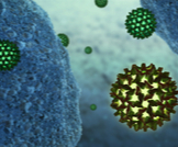 كيف ينتقل فيروس التهاب الكبد بي؟