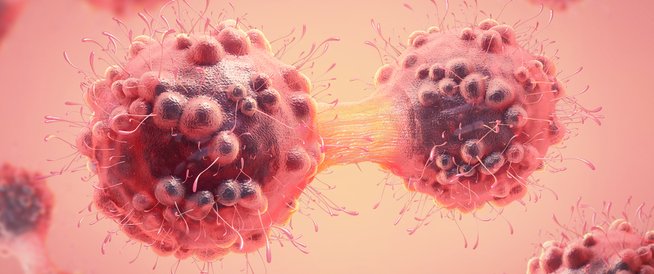 كيف تتحول الخلايا إلى خلايا سرطانية؟ إليك الإجابة