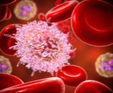 هل سرطان الدم مرض وراثي؟