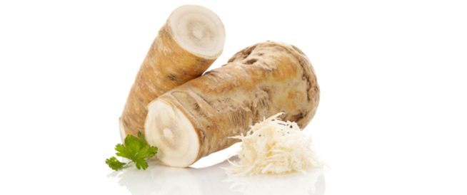 ما هو الفجل الحار Horseradish وما هي أهم فوائده
