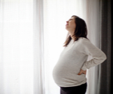 تزرير الحامل: أهم المعلومات