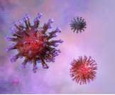 الفيروسات الارتجاعية: دليلك الشامل