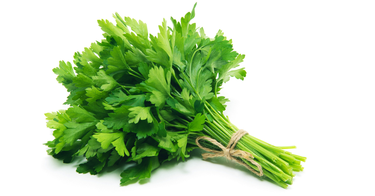 Ingabe i-parsley isusa amanzi amaningi?