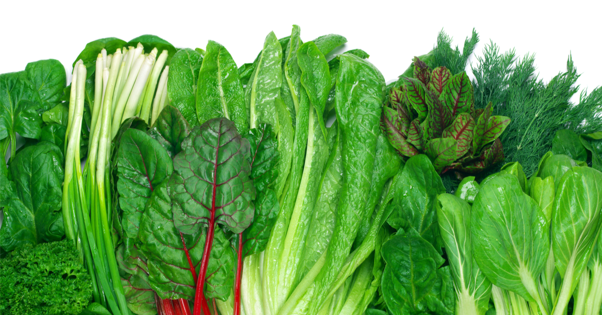 فوائد الخضروات الورقية - ويب طب